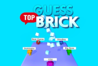 Guess Top Brick img