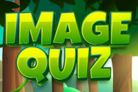 Image Quiz img